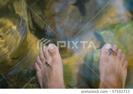 Young man having Antimony fish spa therapy and foot massage in waterfall. Young man having Antimony fish spa therapy and foot massage in waterfall. 57582715
