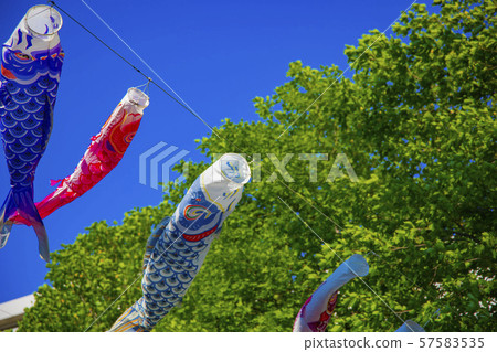 Konobori May Children's Day Festival Spring Blue Sky Higashi Hakuho Park Sumida Konobori Fair Konobori May Children's Day Festival Spring Blue Sky Higashi Hakuho Park Sumida Konobori Fair 57583535