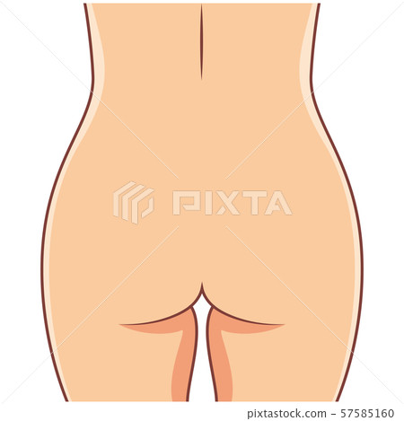 Illustration of close-up of buttocks (with lines) Illustration of close-up of buttocks (with lines) 57585160