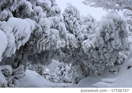 冷波，冬天，白霜，雪，福岡秀彥山 57586787