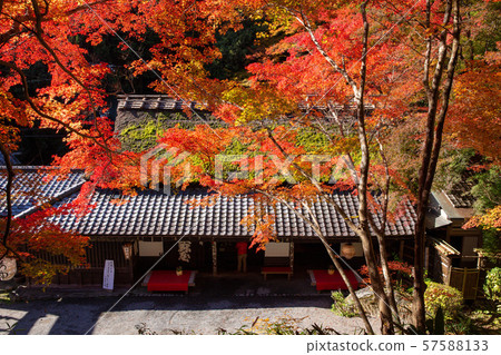 Torii的Ayu茶屋 57588133