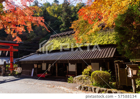 Torii的Ayu茶屋 57588134