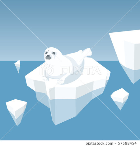 Melting Iceberg And Fur Seal 57588454