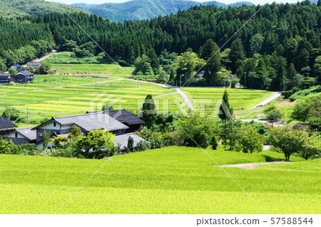 鄉村景觀 57588544