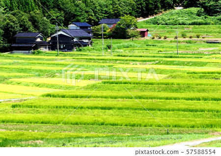鄉村景觀 57588554