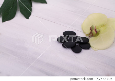 Manicure and Hands Spa. Beautiful Woman Hands Closeup Manicure and Hands Spa. Beautiful Woman Hands Closeup 57588706