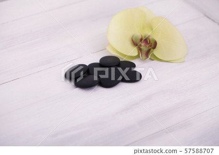 Manicure and Hands Spa. Beautiful Woman Hands Closeup Manicure and Hands Spa. Beautiful Woman Hands Closeup 57588707