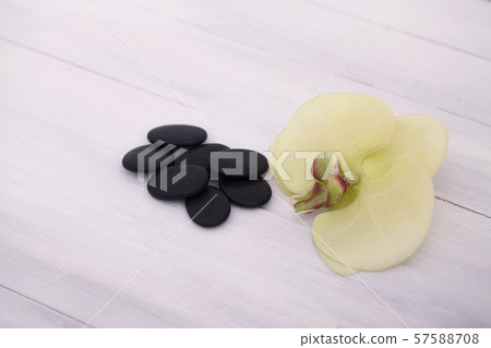 Manicure and Hands Spa. Beautiful Woman Hands Closeup Manicure and Hands Spa. Beautiful Woman Hands Closeup 57588708