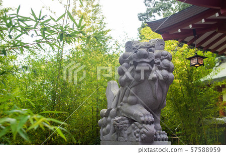 Komiya Shrine Komiya Shrine 57588959
