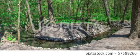 Stream in Askania-Nova Nature Reserve in Ukraine Stream in Askania-Nova Nature Reserve in Ukraine 57589266