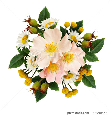 Wild flowers arrangement 57590546