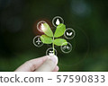 Concept of love, ecology world To sustainability 57590833