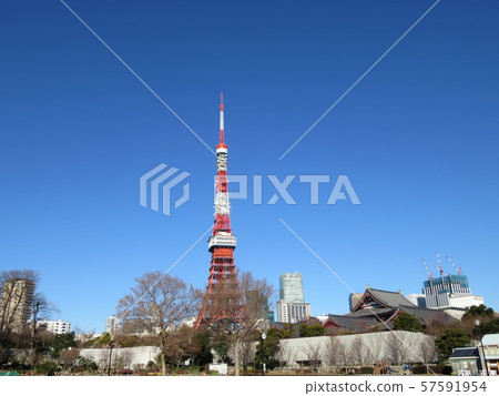 Tokyo Tower seen from Shiba Park 57591954