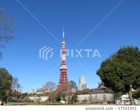Tokyo Tower seen from Shiba Park 57591955