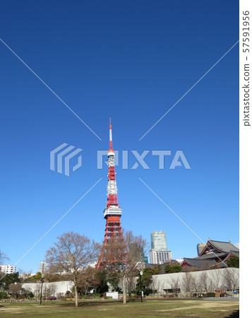 Tokyo Tower seen from Shiba Park 57591956