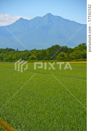 Shari-dake鄉村（北海道斜裡郡斜裡町） 57592582