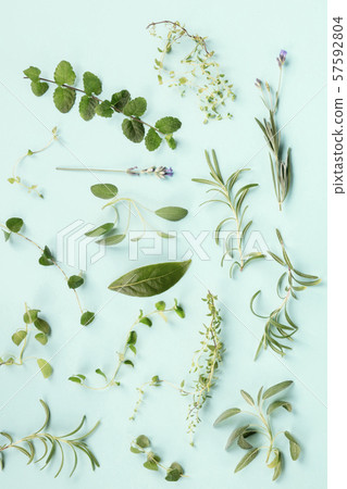 Culinary aromatic herbs on a teal blue background, cooking pattern, flat lay composition 57592804