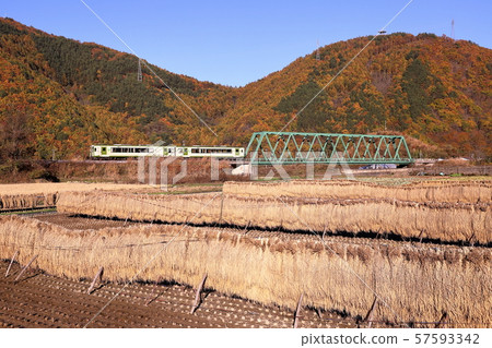 Koumi Line Kiha Series 110 (Yatsugatake Kogen Line) running in the autumn leaves Koumi Line Kiha Series 110 (Yatsugatake Kogen Line) running in the autumn leaves 57593342
