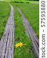 At summer Ozegahara 57593880