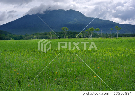 在夏天Ozegahara 57593884