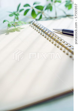 Pens and notes Pens and notes 57593937