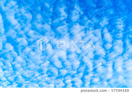 規模雲Iwashi雲Saba雲[長野縣] 57594389