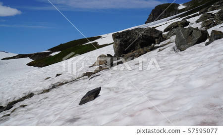 Glacier Alaska Seward USA 79 Glacier Alaska Seward USA 79 57595077