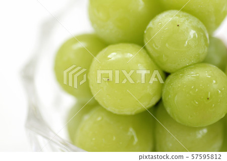 Shine Muscat 57595812