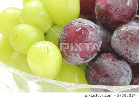 葡萄（巨峰/ Shine Muscat） 57595814