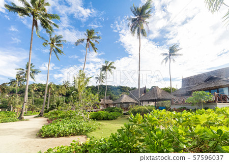 Asian tropical sandy beach paradise with tall palms in Thailand 57596037