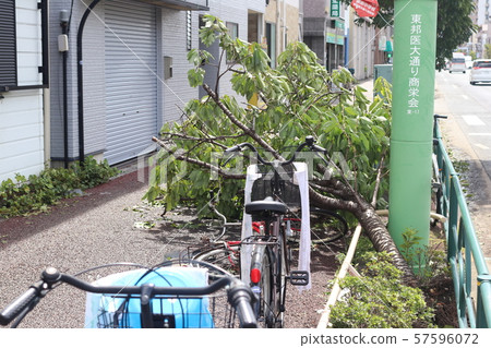Damage of Typhoon No. 15 in 2019 57596072