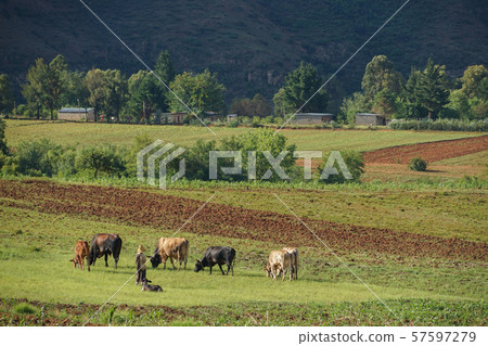 Marea rare scenery 57597279