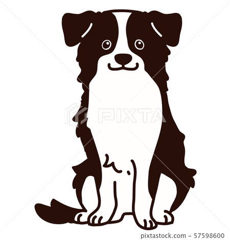坐著的邊境牧羊犬與主線的插圖 坐著的邊境牧羊犬與主線的插圖 57598600