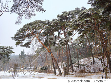 Yeongneung，Yeoju，Gyeonggi-do 57598958
