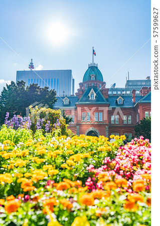 北海道夏季紅磚政府大樓（原北海道政府辦公大樓） 57599627