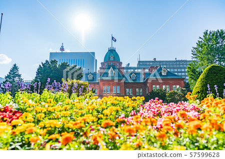 Hokkaido Summer Red Brick Government Building (Former Hokkaido Government Office Building) 57599628