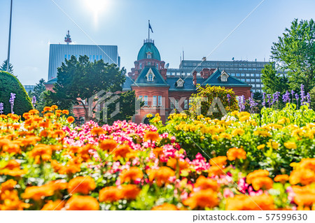 Hokkaido Summer Red Brick Government Building (Former Hokkaido Government Office Building) 57599630