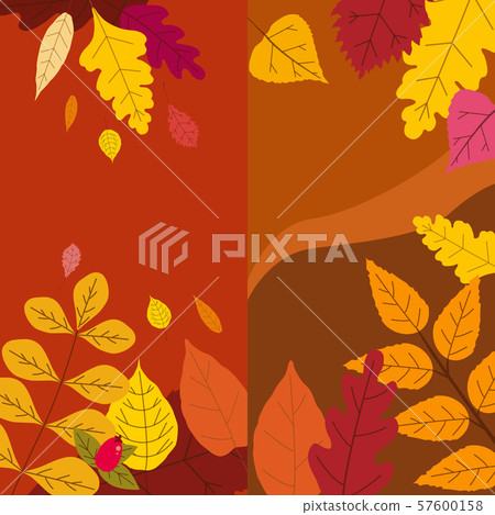 Set colorful autumn templates of autumn fallen leaves orange yellow foliage. Backgrounds social 57600158