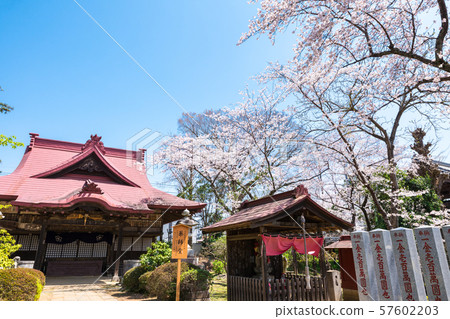 世宗神社 57602203