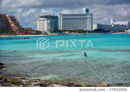 The coastline of white sand and rocks. 57602609