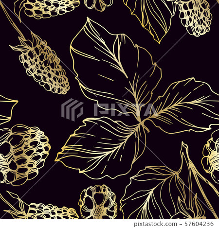 Vector Blackberry healthy food. Black and white engraved ink art. Seamless background pattern. 57604236