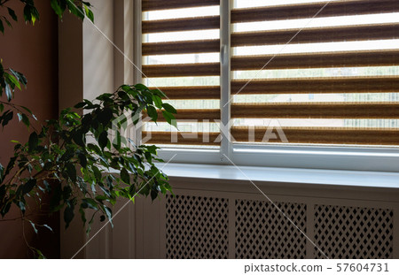 Day and Night roller blinds. Day and Night roller blinds. 57604731