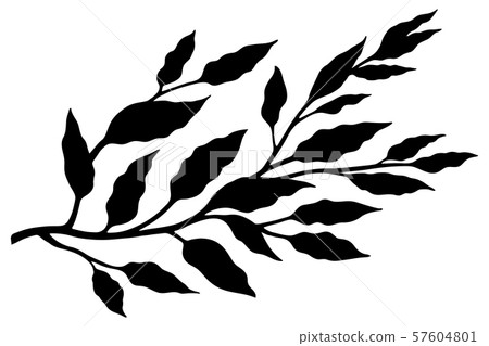 Tree branch with leaves sketch 57604801