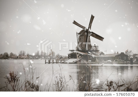 Zaanse Schans windmills rural winter landscape 57605070