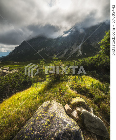 Sunlit Mountain Landscape with Plants and Rocks. 57605442