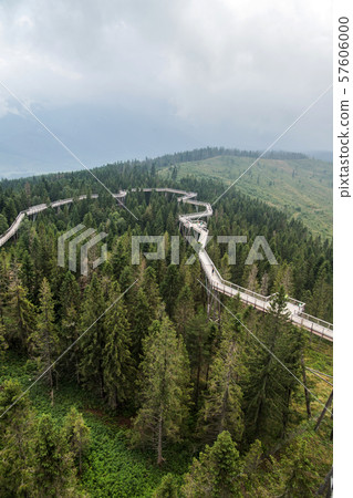 Wooden path among the trees with view on Tatra montains, named "Chodník korunami stromov" , Zdziar, Slovakia,  57606000