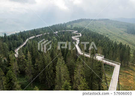 Wooden path among the trees with view on Tatra montains, named "Chodník korunami stromov" , Zdziar, Slovakia,  57606003