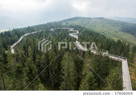 Wooden path among the trees with view on Tatra montains, named "Chodník korunami stromov" , Zdziar, Slovakia, Wooden path among the trees with view on Tatra montains, named "Chodník korunami stromov" , Zdziar, Slovakia, 57606004