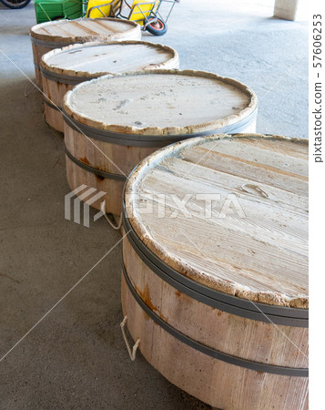 Large Large 57606253