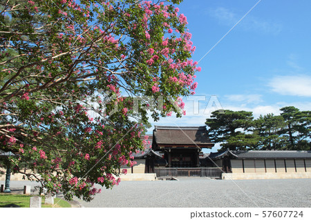 京都花園的塞浦路斯 京都花園的塞浦路斯 57607724